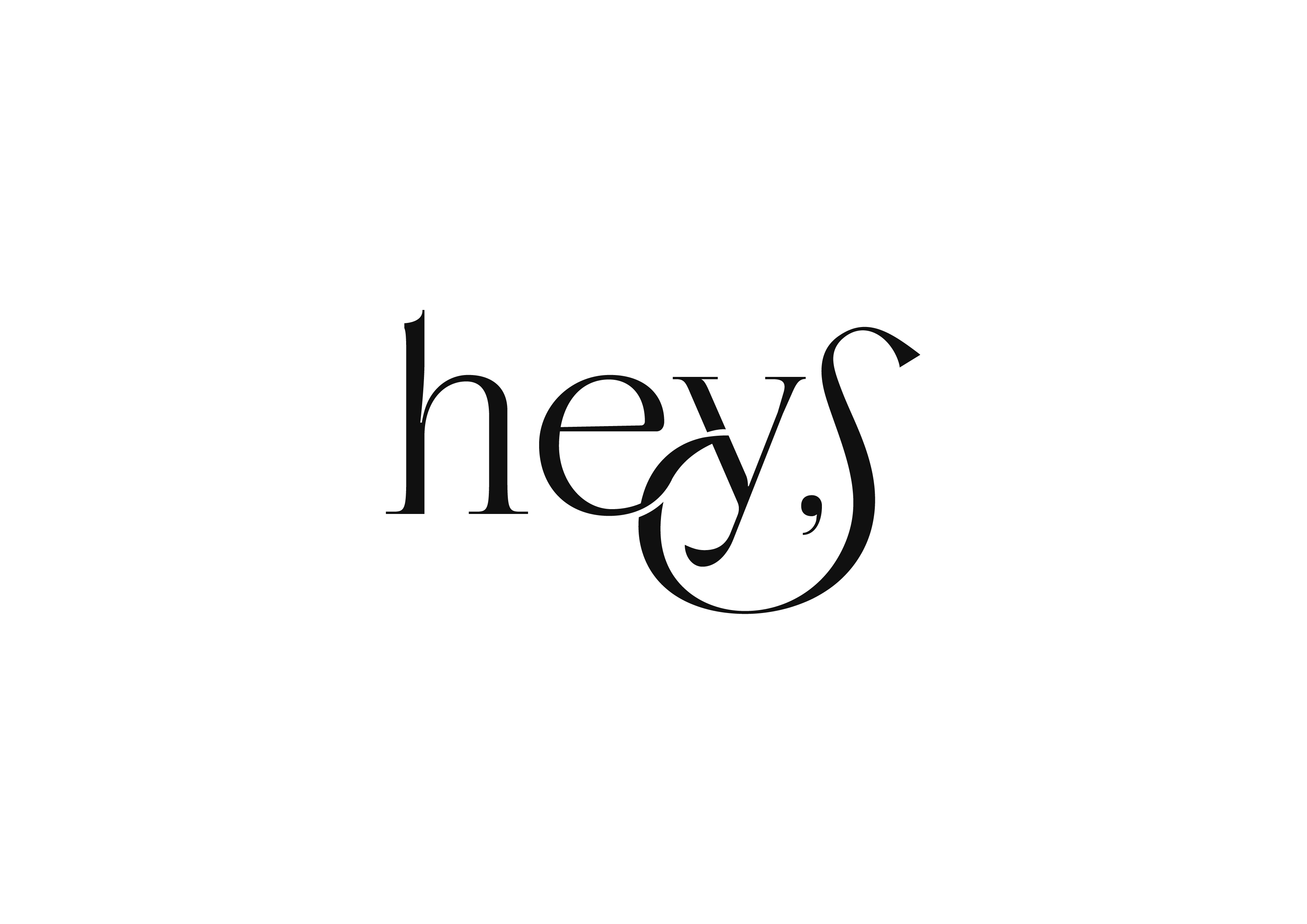 주식회사 헤이에스(Heys)