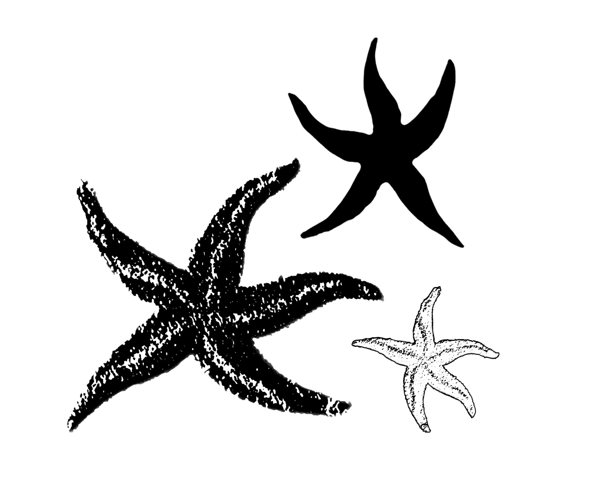 더콜디스트모먼트(THECOLDESTMOMENT)